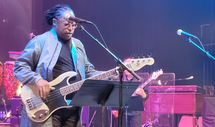 Darryl Jones — Moody Leather luxury guitar strap artist